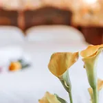 Hotel Aganoor 3*