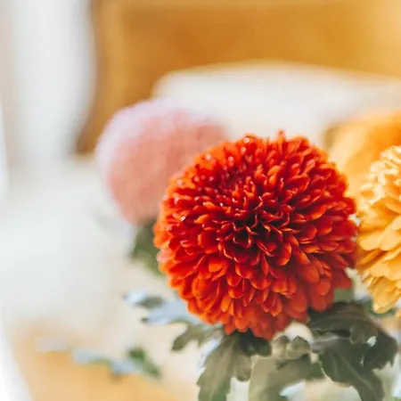 Hotel Aganoor Castiglione del Lago