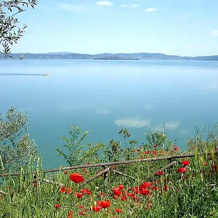 Aganoor Ξενοδοχείο Castiglione del Lago