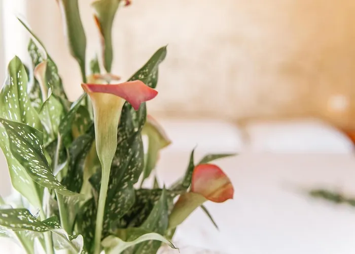 Hotel Aganoor Castiglione del Lago