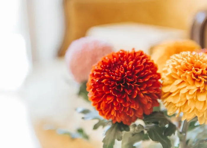 Hotel Aganoor Castiglione del Lago